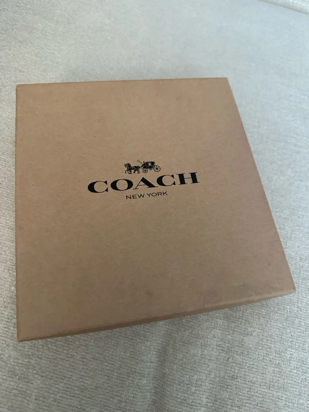 Leather Dog Leash in Black - Coach